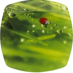 Gifi Assiette à dessert carrée verte design coccinelle| Vaisselle Et Accessoires De Table