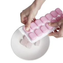 Vaisselle Et Accessoires De Table<Gifi Bac à 14 glaçons avec couvercle 21x8cm - 3 coloris