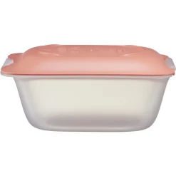 Conservation Alimentaire<Gifi Boîte à fromage en plastique 18x12xH7,8cm