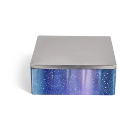 Conservation Alimentaire<Gifi Boîte alimentaire carré en fer décor bleu et argenté 26x26xH10cm