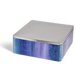 Conservation Alimentaire<Gifi Boîte alimentaire carré en fer décor bleu et argenté 26x26xH10cm