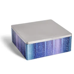 Conservation Alimentaire<Gifi Boîte alimentaire carré en fer décor bleu et argenté 26x26xH10cm