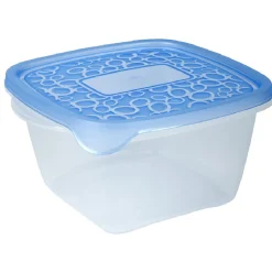 Conservation Alimentaire<Gifi Boîte alimentaire Take away 1.1 L transparente et bleue x5
