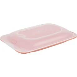 Conservation Alimentaire<Gifi Boîte de conservation mini L18xl12xH3cm