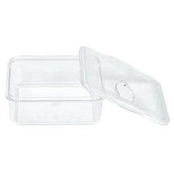 Conservation Alimentaire<Gifi Boîte de conservation sous vide 1L - 18,5x16,5xH6,2cm