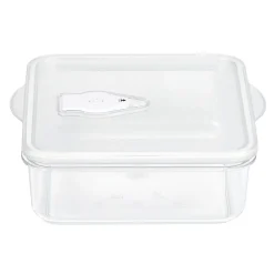 Conservation Alimentaire<Gifi Boîte de conservation sous vide 1L - 18,5x16,5xH6,2cm