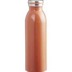 Conservation Alimentaire<Gifi Bouteille isotherme inox uni 500 ml