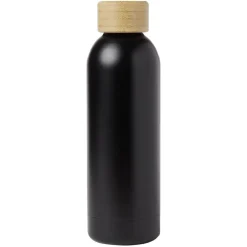 Conservation Alimentaire<Gifi Bouteille isotherme inox double paroi 50cl Ø7,3xH23,5cm