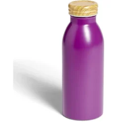 Conservation Alimentaire<Gifi Bouteille isotherme 400ml inox et bois - 4 coloris