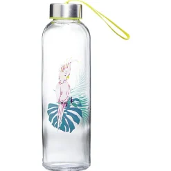 Gifi Bouteille transport en verre| Vaisselle Et Accessoires De Table