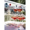 Gifi Lot de 10 verres à ballon transparents 19cl| Vaisselle Et Accessoires De Table