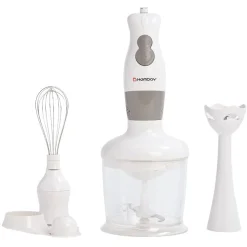 Petit Électroménager<Gifi Mixeur 3 en 1 Homday