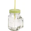 Conservation Alimentaire<Gifi Mug bocal coloré vert avec paille