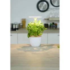 Gifi Potager d'intérieur à éclairage led CECOA| Vaisselle Et Accessoires De Table