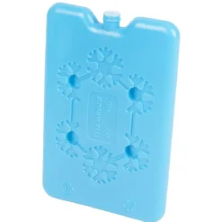 Conservation Alimentaire<Gifi Sac fraîcheur lunch box avec bloc de glace